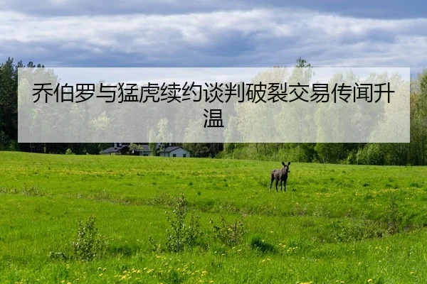 乔伯罗与猛虎续约谈判破裂交易传闻升温（MK SPORT）